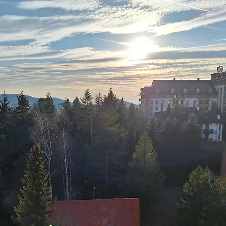 Apartamento Bogdanovic Nlt Lux *