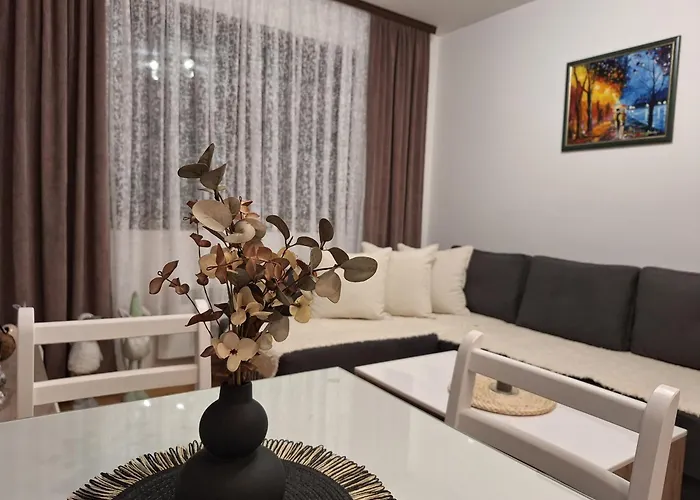 Bogdanovic Nlt Lux 즐라티보